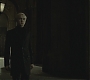 Halfblood-02008.jpg