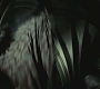 Halfblood-02013.jpg