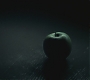 Halfblood-02016.jpg