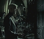 Halfblood-02018.jpg