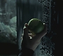 Halfblood-02034.jpg