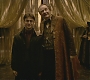 Halfblood-02035.jpg