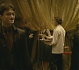 Halfblood-02046.jpg