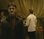Halfblood-02047.jpg