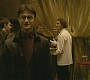 Halfblood-02049.jpg