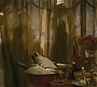 Halfblood-02073.jpg