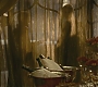 Halfblood-02074.jpg