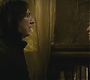 Halfblood-02089.jpg