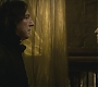 Halfblood-02091.jpg