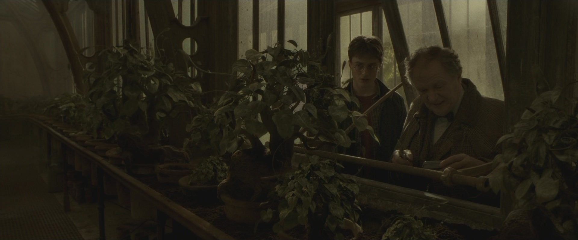 Halfblood-03100.jpg