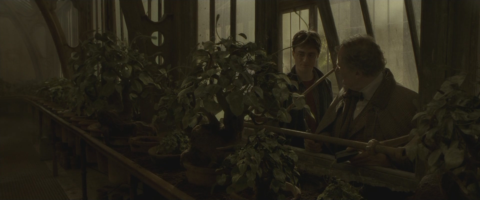 Halfblood-03104.jpg