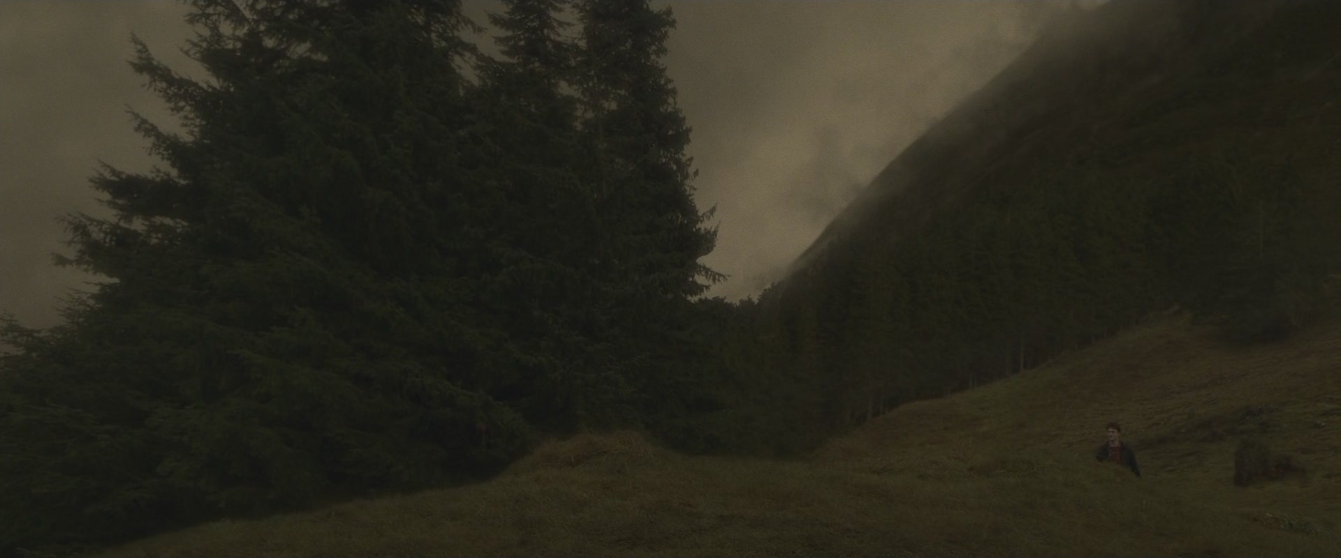 Halfblood-03119.jpg