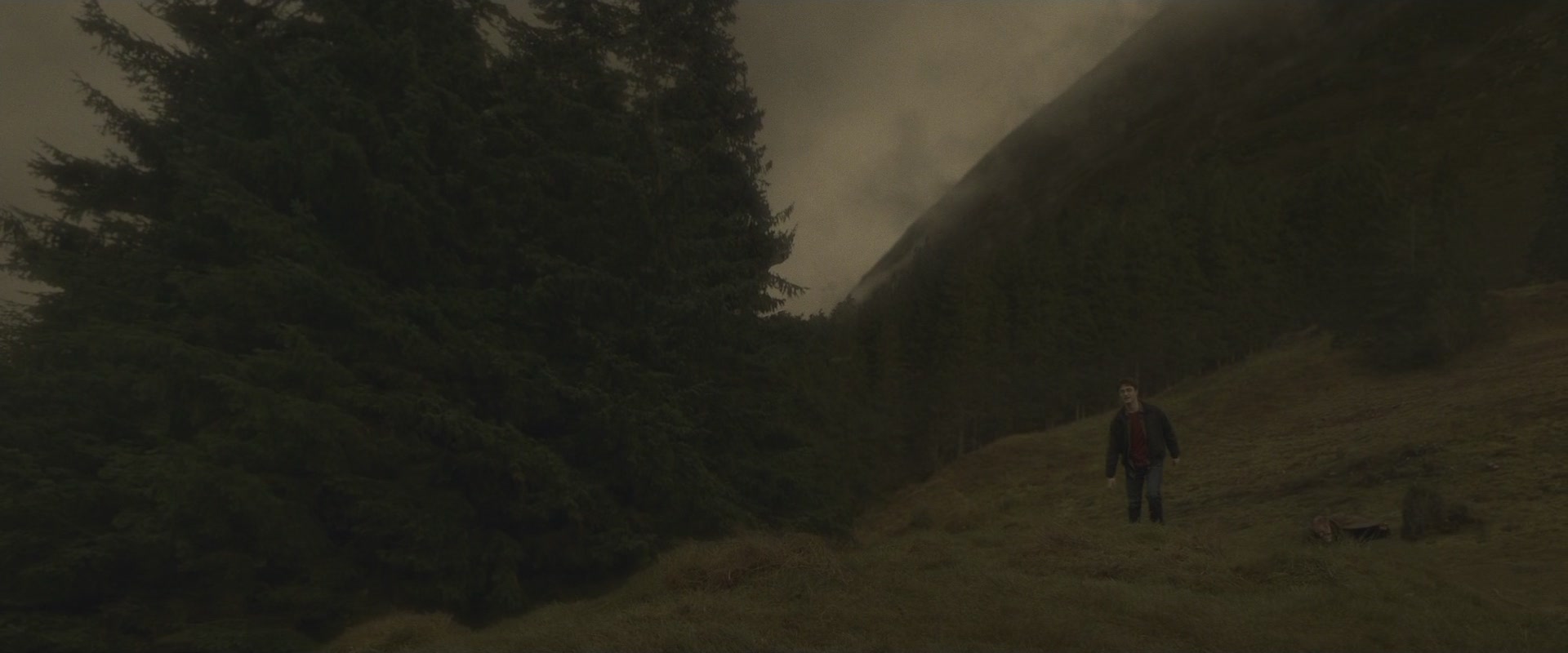 Halfblood-03122.jpg