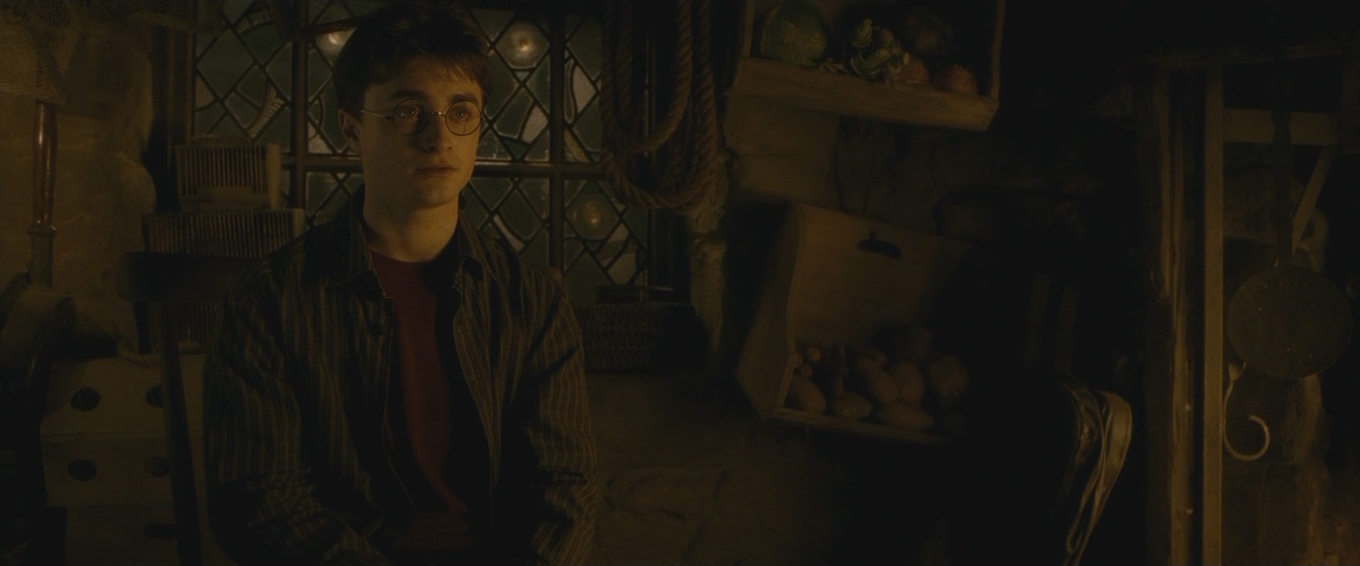 Halfblood-03251.jpg
