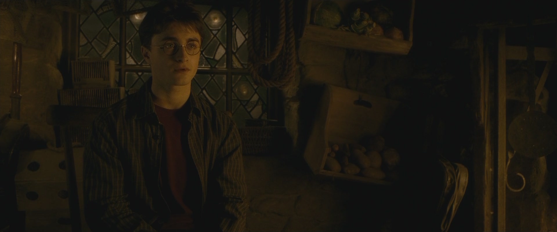 Halfblood-03254.jpg