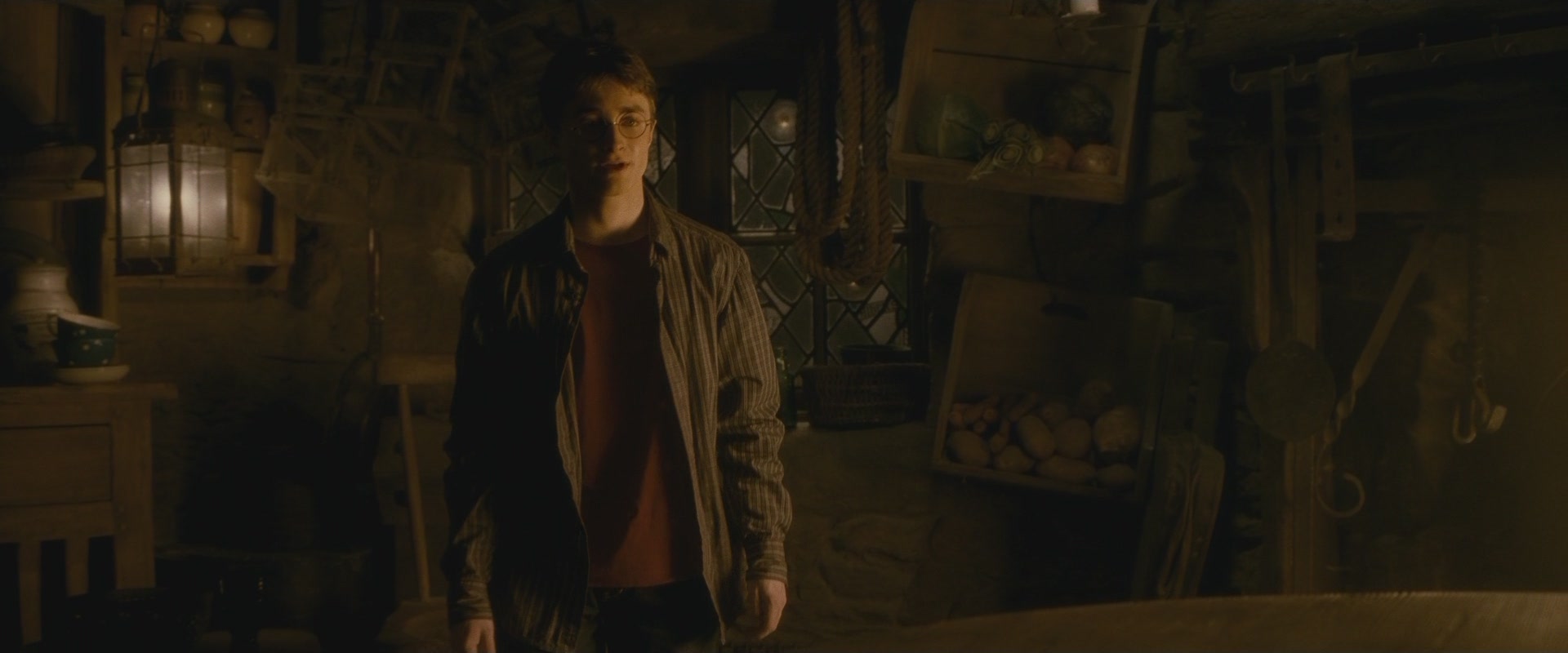 Halfblood-03275.jpg