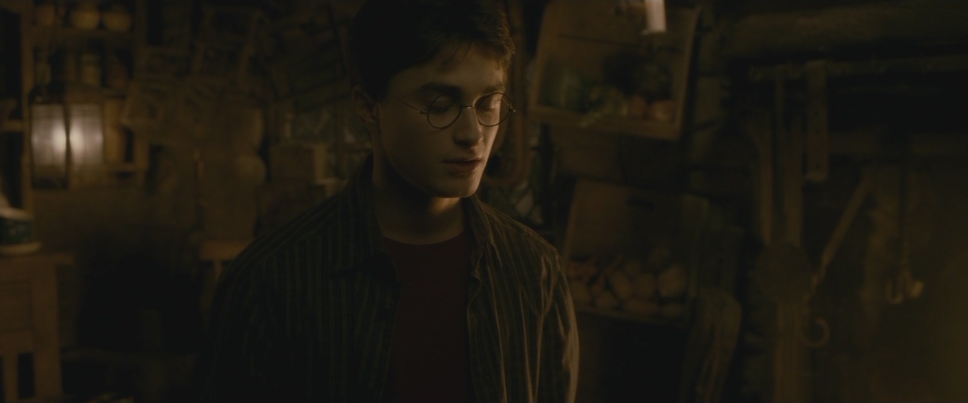 Halfblood-03278.jpg