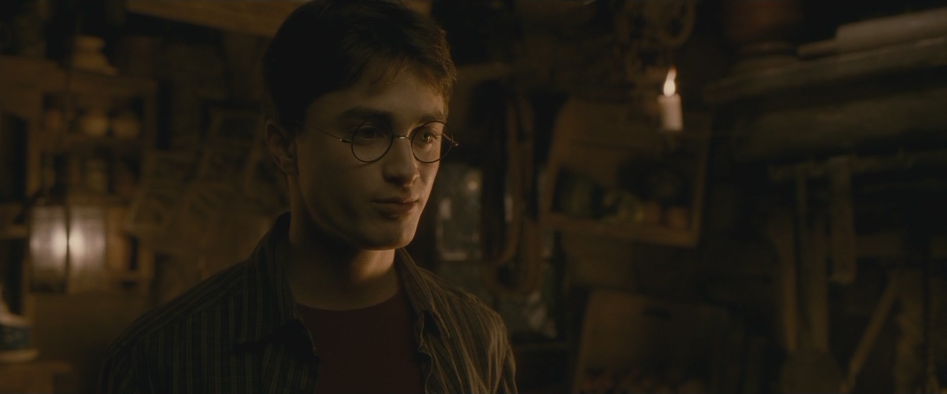 Halfblood-03287.jpg