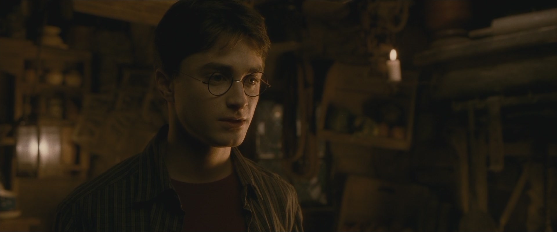 Halfblood-03288.jpg