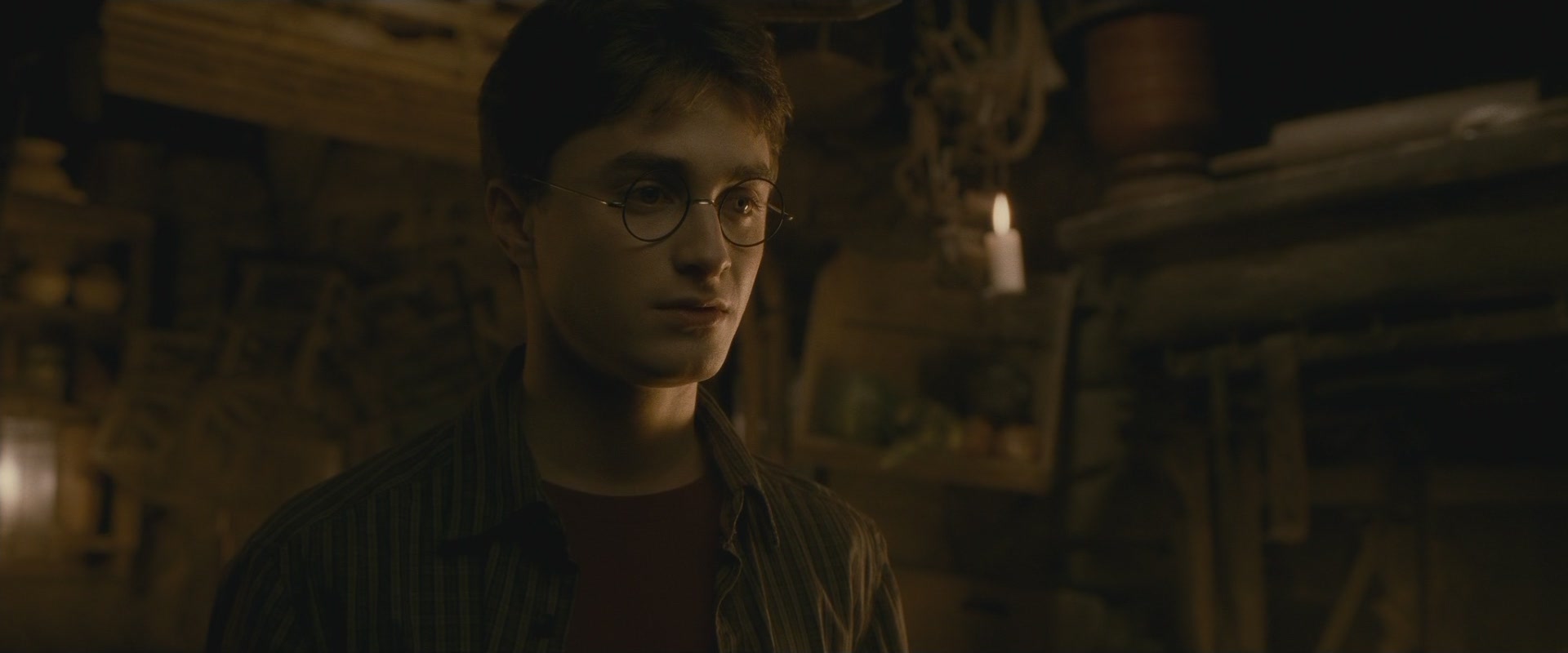 Halfblood-03295.jpg