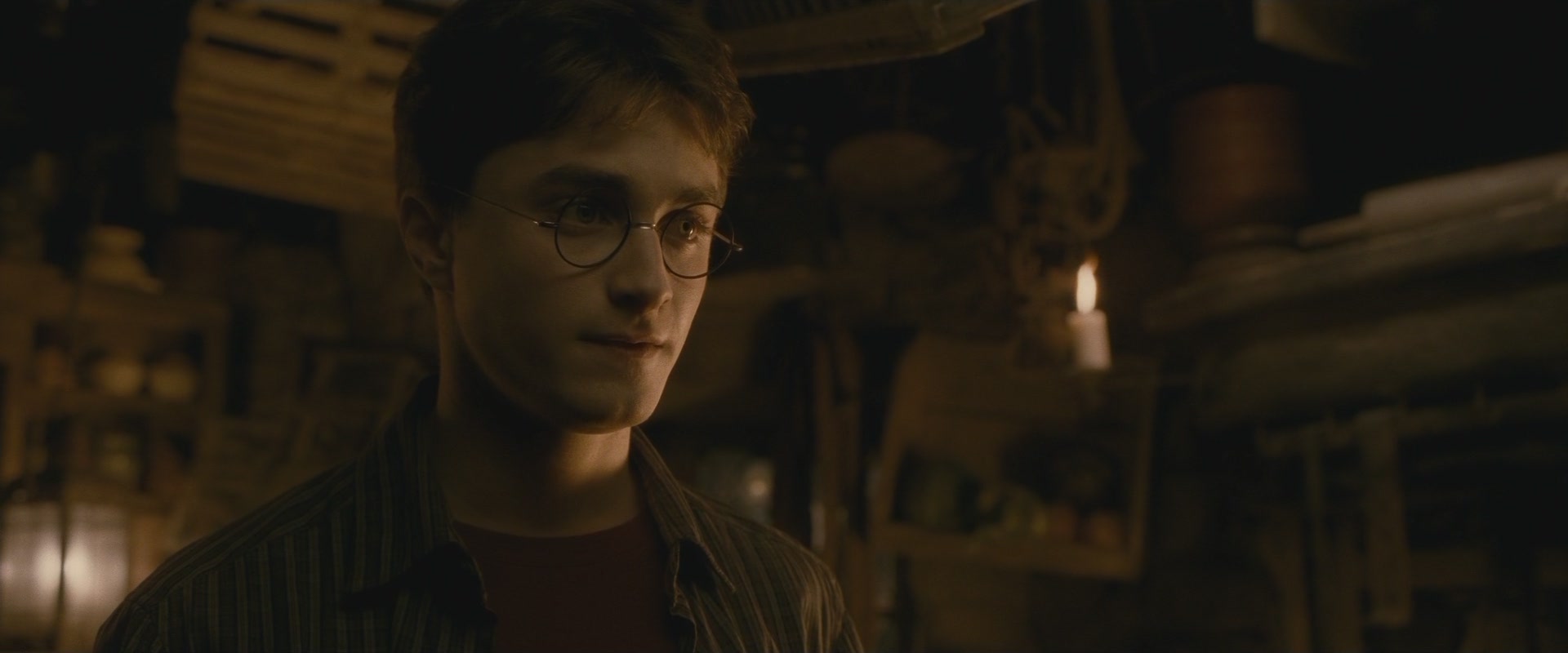 Halfblood-03306.jpg