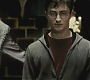 Halfblood-00007.jpg