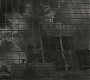 Halfblood-00025.jpg