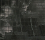 Halfblood-00026.jpg