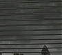 Halfblood-00033.jpg