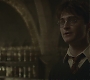 Halfblood-02530.jpg