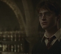 Halfblood-02533.jpg