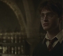 Halfblood-02536.jpg