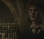 Halfblood-02539.jpg