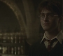 Halfblood-02540.jpg