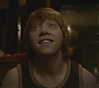 Halfblood-02548.jpg