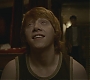 Halfblood-02549.jpg