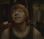 Halfblood-02550.jpg
