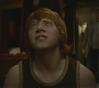 Halfblood-02551.jpg