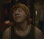 Halfblood-02555.jpg