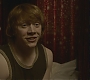 Halfblood-02568.jpg