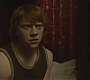 Halfblood-02573.jpg