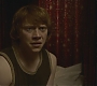 Halfblood-02574.jpg