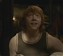 Halfblood-02588.jpg