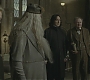 Halfblood-02685.jpg