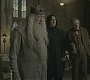 Halfblood-02687.jpg