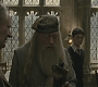 Halfblood-02694.jpg