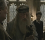 Halfblood-02696.jpg