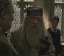 Halfblood-02697.jpg