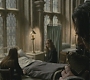 Halfblood-02700.jpg
