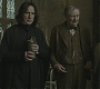 Halfblood-02701.jpg